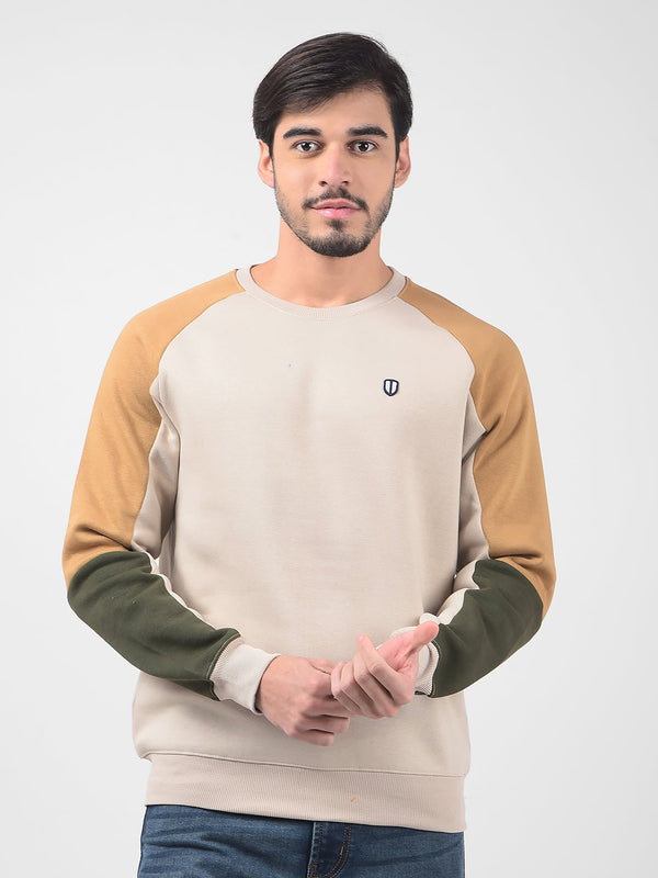 Men's Color Block Brown Crew Neck Regular Fit Sweatshirt